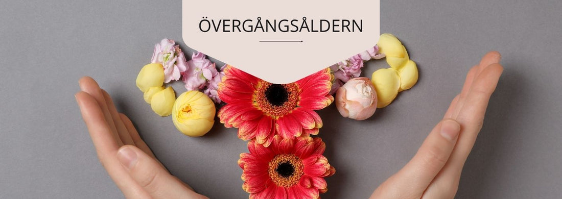 Kopia av Kopia av Skinandcare - socker