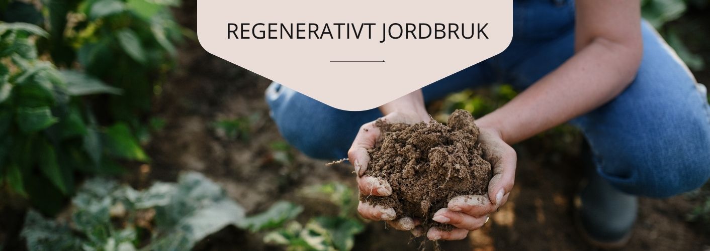 Kopia av Kopia av Skinandcare - socker