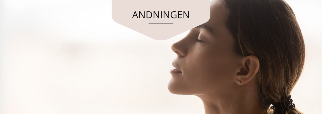 andning (2)