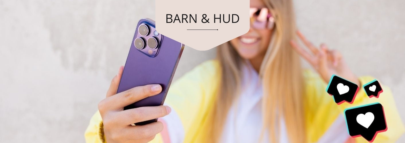 barn-hud (2)