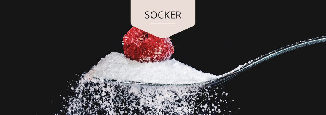 socker (1)