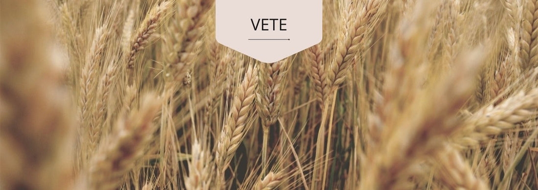 vete (1)