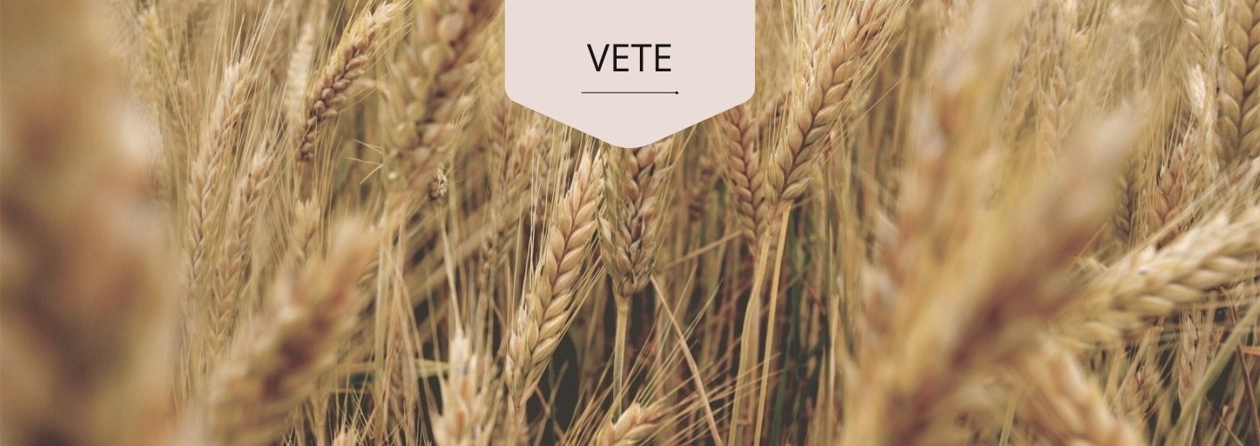 vete (1)